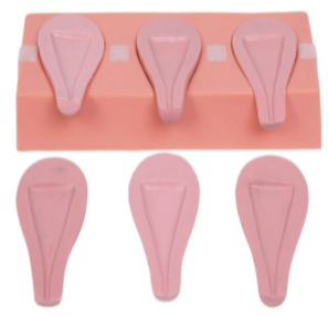 Advanced Artificial Abortion Uterus Model